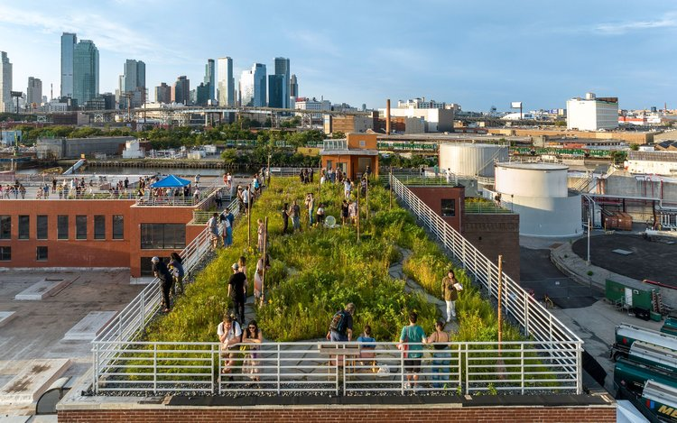 Kingsland Wildflowers: How Broadway Stages and an Eco-Team Created
